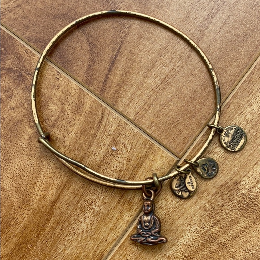 ALEX AND ANI | BUDDHA BANGLE BRACELET | RAFAELIAN GOLD - Picture 4 of 8